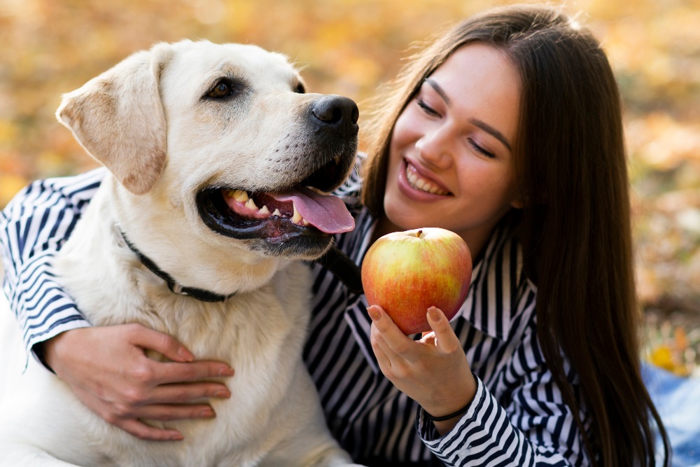 frutta-cani
