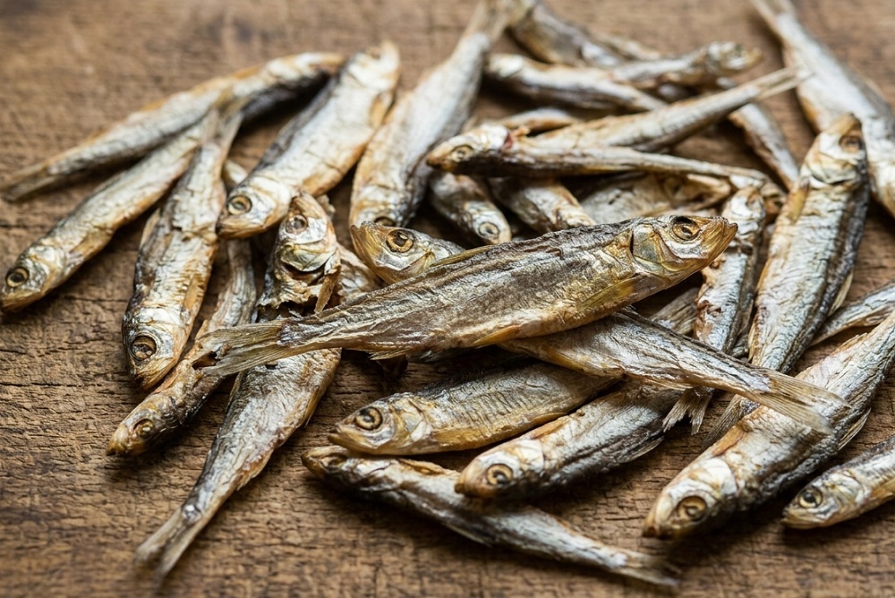 pesce-essiccato-cani